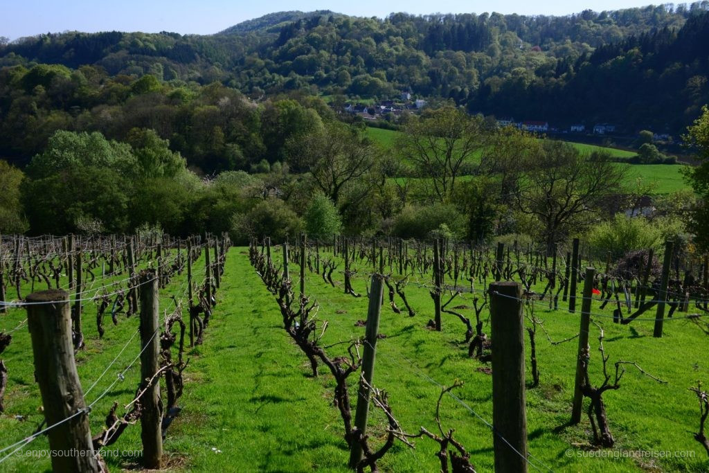 Blick aus den Weingärten der Pava Farm mit Tintern im Hintergrund