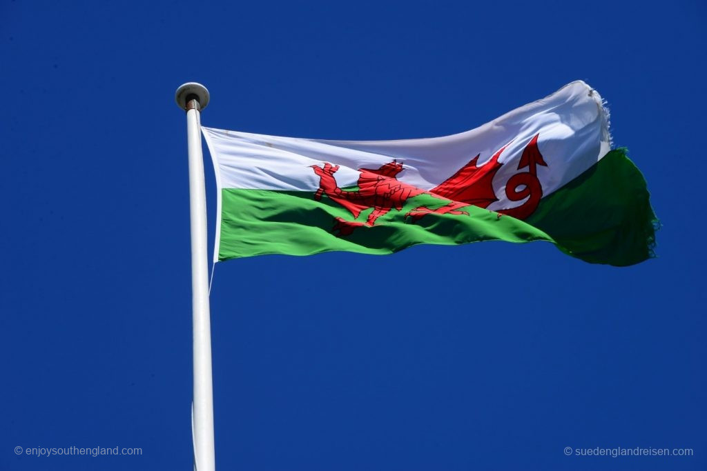 Die Fahne Wales: Der walisische Löwe auf weiß-grünem Untergrund