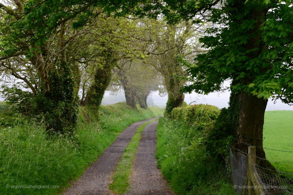 Ein Nebeltag auf Anglesey