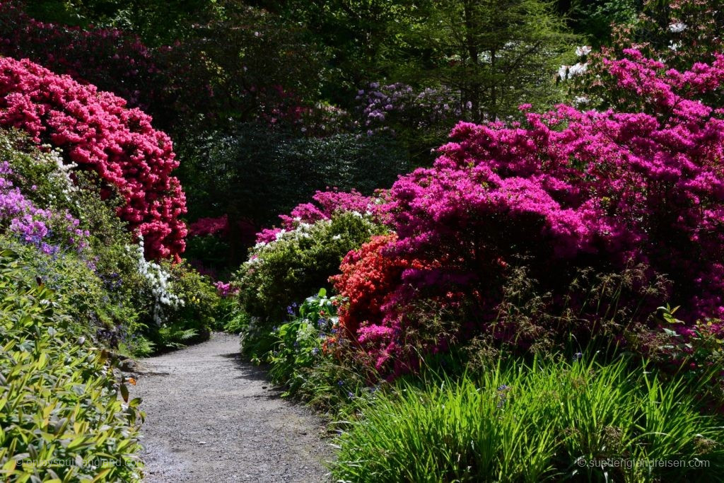 Bodnant Garden