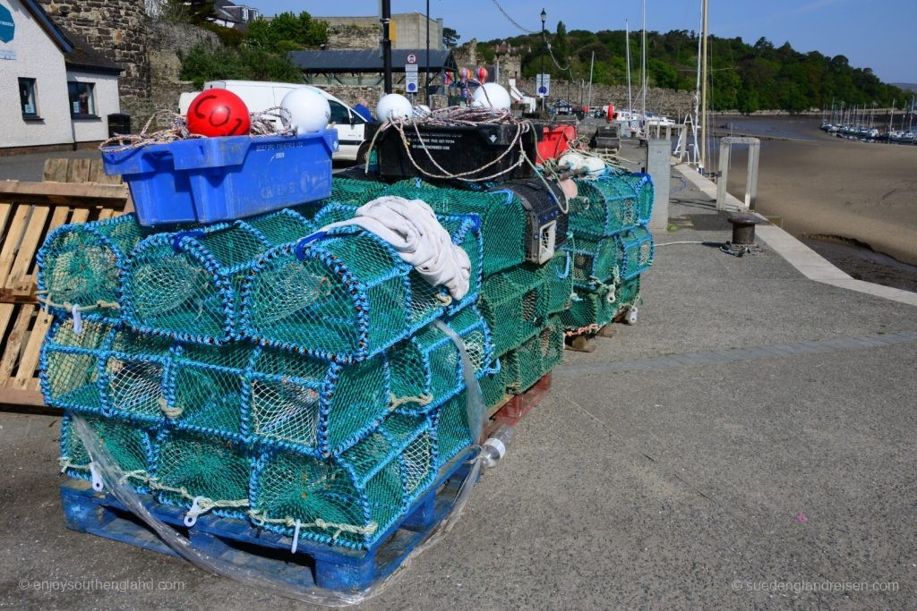 Am Hafen von Conwy