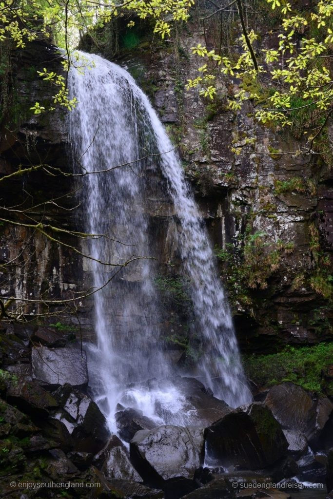 Melincourt Waterfall