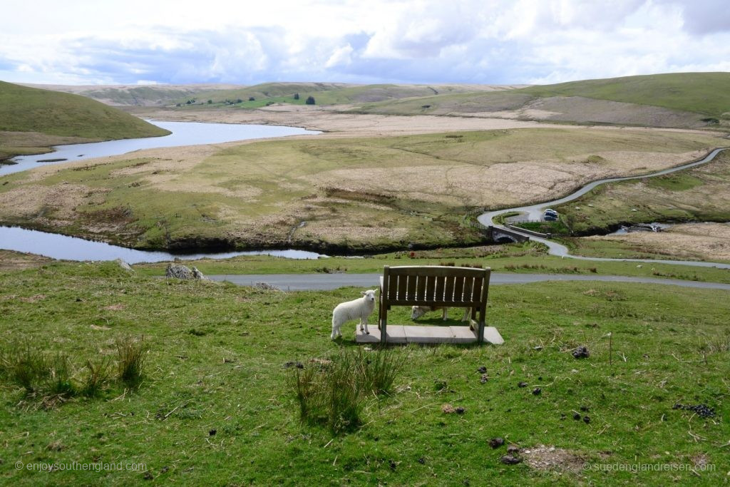 im Elan Valley