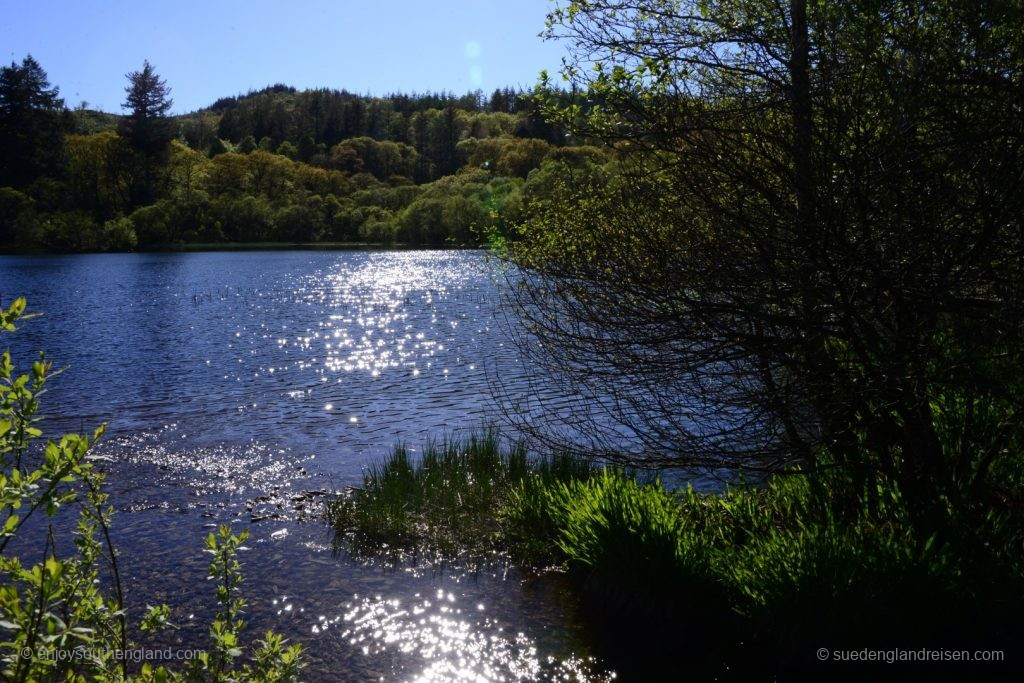 Der See Llyn Mair - unser Abendessenplatz