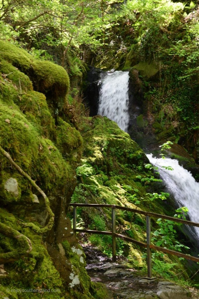 Dolgoch Falls - grün in grün