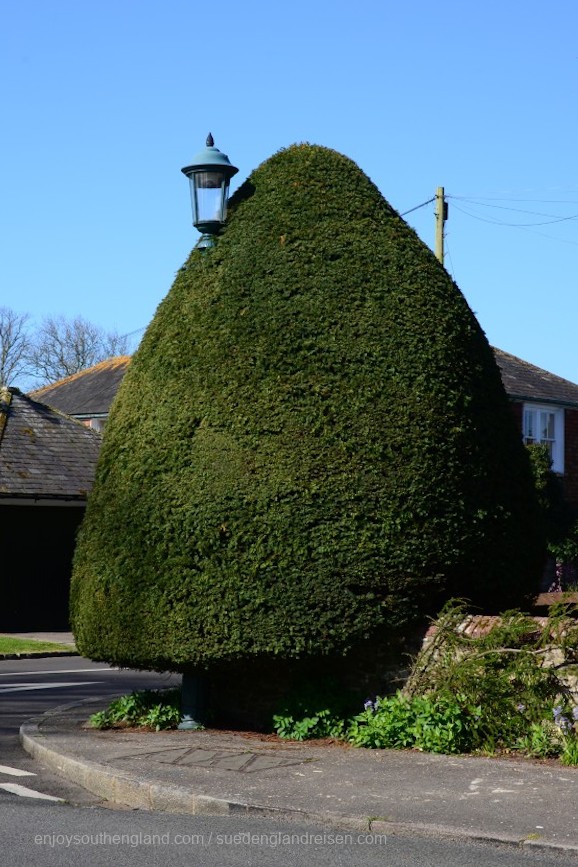 Straßenlaterne oder Baum? Das ist hier die Frage in Winchelsea (East Sussex)