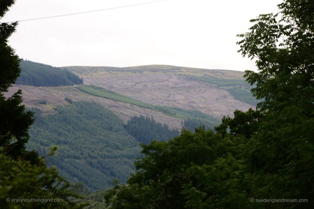 Terrible: The large scale deforestation for timber production. And why that in a National Park?