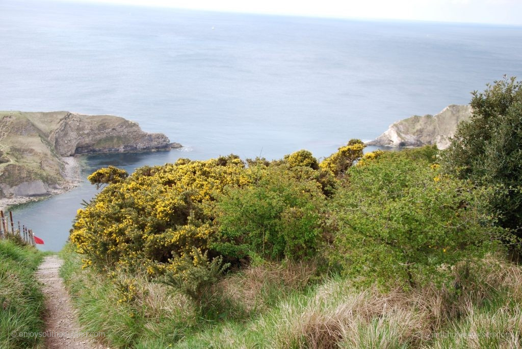 Lulworth Cove von oben