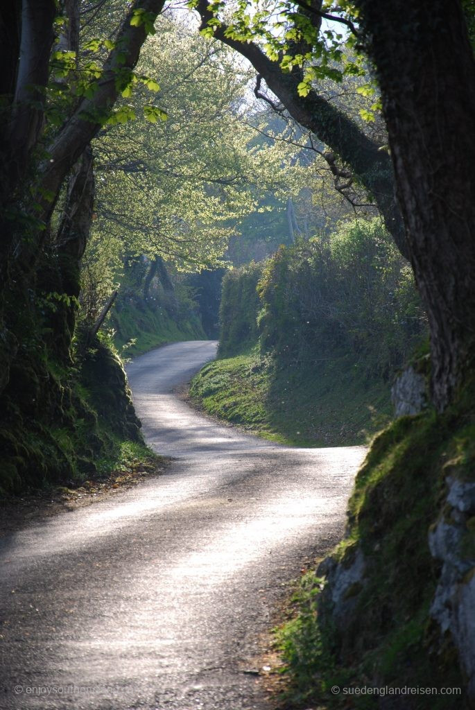 Dartmoor (Devon)