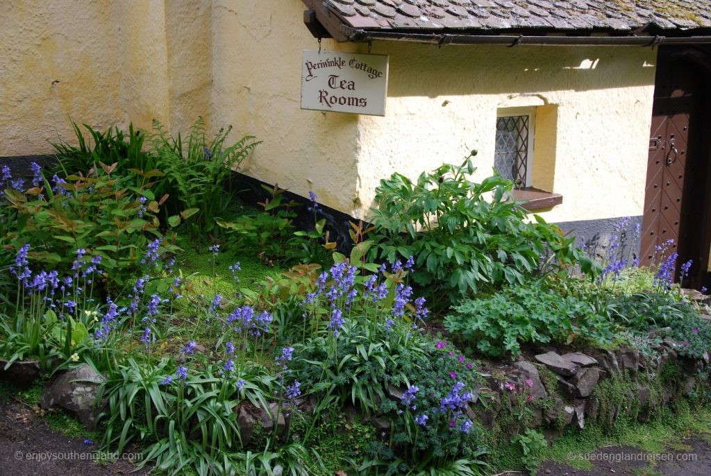 Ziel der Sehnsucht nach Cream Tea: Tea-Room in Selworthy (Somerset)