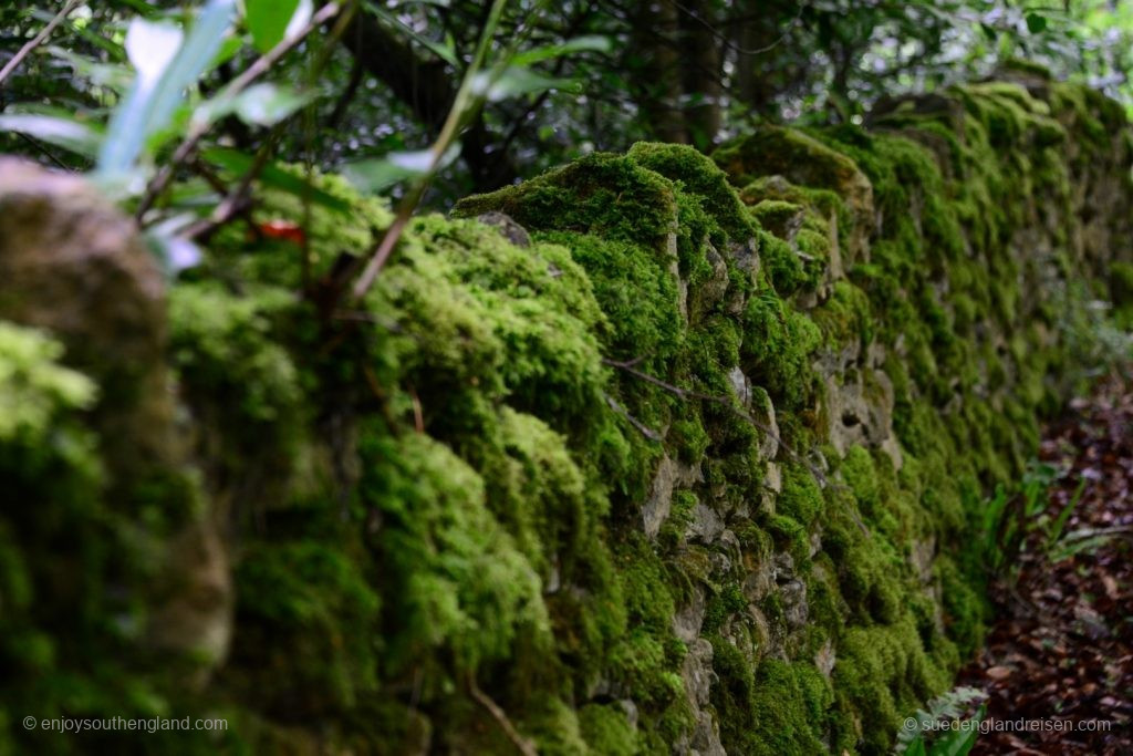 Typische Begrenzung einer südenglischen Straße: Bemooste Steinmauer